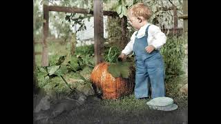 Toddler Reginald in the Pumpkin Patch  Early 1900s Colorized Charm [upl. by Strade296]