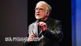 ÖZET Akış Mutluluğun Sırrı  Mihaly Csikszentmihalyi  TED Konuşması [upl. by Norrahs776]