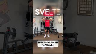 8 Min Full Standing Workout Beginner Friendly [upl. by Mohorva904]