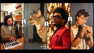 The Kiffness X Sneeze Cat X The Weeknd X Morten Harket A Beatbox Cat Remix [upl. by Chak]