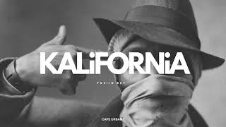 Yasiin Bey  Kalifornia  CU [upl. by Negriv]