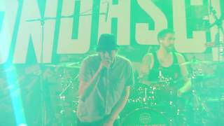 SONDASCHULE  Es stinkt in dieser Stadt Live in Oberhausen [upl. by Tabitha]