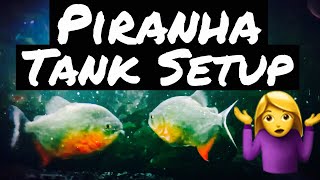 Piranha Aquarium Setup amp Tank Care  Beginner [upl. by Ixela]