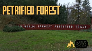 Petrified Forest  Calistoga  3millionyearold trees  Historical point  Volcano [upl. by Shep]