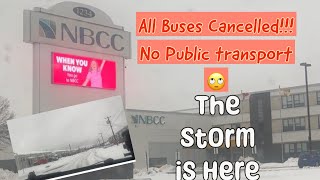 Buses got canceled  Gedi in first snow storm of Moncton New Brunswick Canada [upl. by Lemrej]