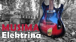 Single Pickup Offset Electric from East Germany  Deep Dive and Demo  Musima I2 Elektrina [upl. by Akerahs]