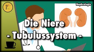 Unser Tubulussystem erklärt Wie wird aus Blut Urin Teil 1 [upl. by Primavera751]