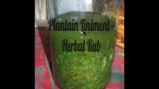 Plantain Rubbing Alcohol for Sore Muscles amp Joints [upl. by Anilejna140]