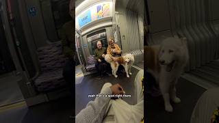 Train interactions with my dog youtubeshorts train travel subway tube viral pet beautiful [upl. by Aihsot]