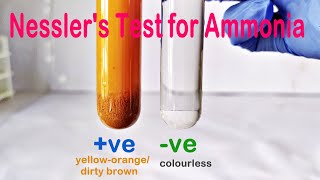 Nesslers Test Practical Experiment [upl. by Rashida399]