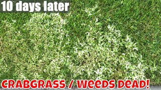 DIY How to Kill Crabgrass  Weeds and PREVENT MORE from coming [upl. by Noled]