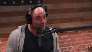 Joe Rogan Theres No Users Manual for the Mind and Body [upl. by Anisah]