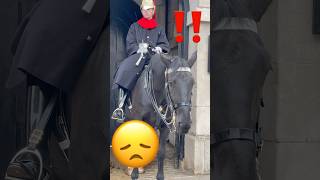 The kings guard horse is tired shorts foryou history tourist royalhorseguard horseguard [upl. by Nadbus]