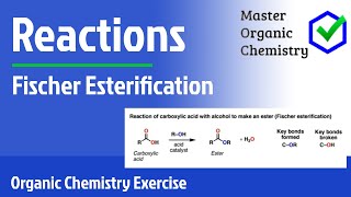 Fischer Esterification [upl. by Ahsirhcal]