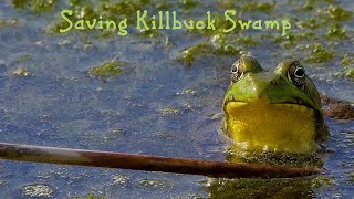 Saving Killbuck Swamp [upl. by Mischa]