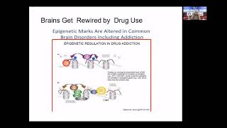 Neurobiology of Addiction by ProfVivek Benegal [upl. by Colleen25]