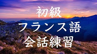 初級フランス語会話トレーニング230  基本フレーズ聞き流し [upl. by Germin]