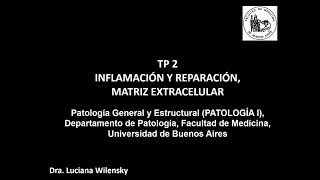 TP2 Inflamación Reparación y MEC  Dra Luciana Wilensky [upl. by Agostino897]