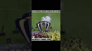 Flamengo campeão 🏆 memes memefunk vaiviralizar humor batefortephonk music fyy [upl. by Yliram568]