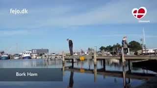 Urlaub am Ringkøbing Fjord in Bork Havn Dänemark [upl. by Sadiras186]