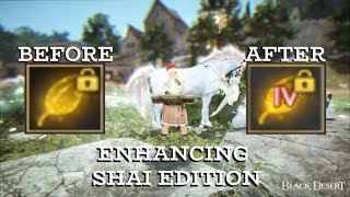 BDO  Enhancing Base to Tet Artina Sol  Shai [upl. by Annoled]