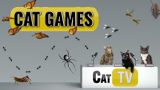 Cat Games  Ultimate Cat TV Bugs and Butterflies Compilation Vol 2  Videos for Cats to Watch🐱 [upl. by Annua970]