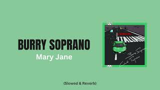 Burry Soprano  Mary Jane Slowed  Reverb [upl. by Thadeus]