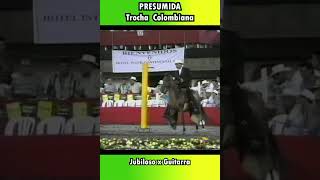 PRESUMIDA MUNDIAL CONFEPASO 1997 CALICOLOMBIA trocha horse shortsvideo [upl. by Annekahs]