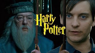 Bully Maguire Vs Dumbledore [upl. by Ailito]