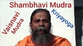 Shambhavi Vaisnavi Mudra Kriyayoga meditation Swami Nityananda Giri [upl. by Athene]