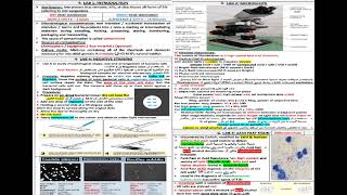 SHEET FINAL REVISION GENERAL MICROBIOLOGY شرح بالعربي [upl. by Symons975]