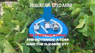 Is the Walkera T210 mini drone better value for money than the Potensic Atom amp the DJI Mini 3 [upl. by Doersten]