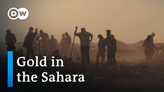 Gold rush in Mauritania  DW Documentary [upl. by Werna983]