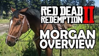 Red Dead Redemption 2 Horses  Morgan Overview [upl. by Ham]