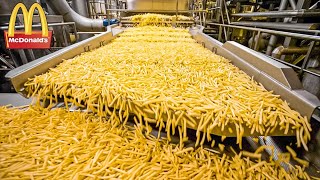 CÓMO SE HACEN LAS PAPAS FRITAS DE MCDONALDS LA PRODUCCIÓN DE ALIMENTOS [upl. by Aonian]