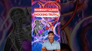 MAMMARY GLANDS The Shocking Truth Behind Their Function 😱  Biology NEET  Class 12th [upl. by Deutsch]