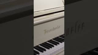 Bösendorfer 185VC Baroque Grand Piano at Classic Pianos Denver [upl. by Reinhardt]