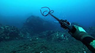 Red Horizon Spearfishing the Big Island for Uku Mu Kaku and kumu [upl. by Lila299]