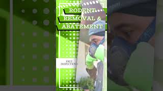 VersaTech Rodent Removal amp Abatement Services for LA County Homes amp Businesses [upl. by Tullius383]