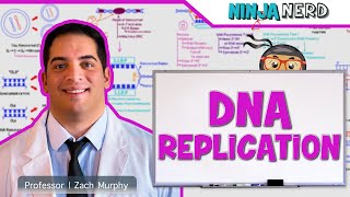 Cell Biology  DNA Replication 🧬 [upl. by Adnohrahs]