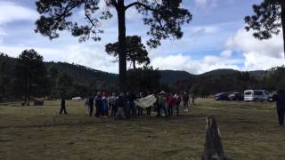 Drone atorado en árbol Drones México 4ta Reunión [upl. by Yellah]