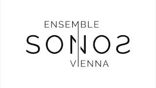 Till Eulenspiegel einmal anders Ensemble SONOS Vienna [upl. by Josi]