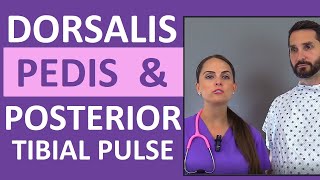 Dorsalis Pedis and Posterior Tibial Pulse Point Nursing Assessment [upl. by Jillane]