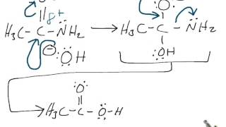 BasePromoted Hydrolysis of Acetamide RXN Mechanism [upl. by Desirae]