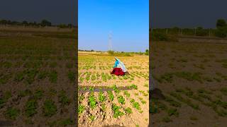 ￼ Nisha Meena Dhaniya video search Supa comedy funny farming flims villagelife flim desi [upl. by Whitebook]