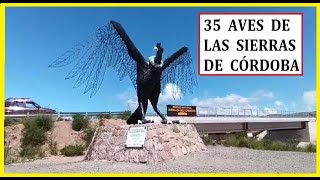 35 Aves De Las Sierras De Córdoba Argentina [upl. by Llerat]