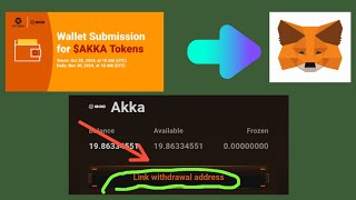 Satoshi Withdraw your Akka Tokens  Metamask Connection Guide [upl. by Ybloc64]