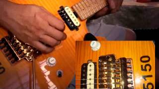 Gotoh Tremolo Test [upl. by Gilford277]