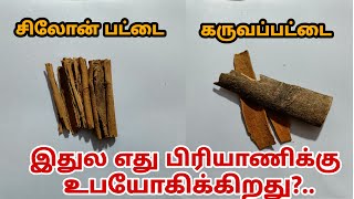 சிலோன் பட்டை மற்றும் கருவப்பட்டை Ceylon cinnamon and cassia cinnamon [upl. by Adnawahs]