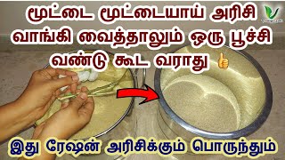 ஒரு வருடம் ஆனாலும் அரிசியில் பூச்சி வண்டு புழு வராமல் இருக்க இதை செய்யுங்கள் How to store rice [upl. by Somisareg]